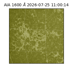 saia - 2026-07-25T11:00:14.131000
