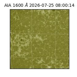 saia - 2026-07-25T08:00:14.122000