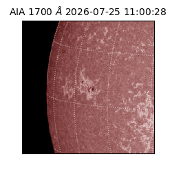 saia - 2026-07-25T11:00:28.719000