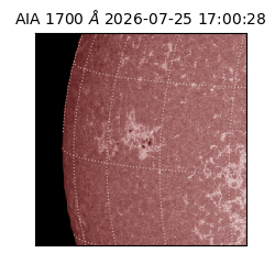 saia - 2026-07-25T17:00:28.716000