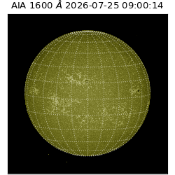 saia - 2026-07-25T09:00:14.122000