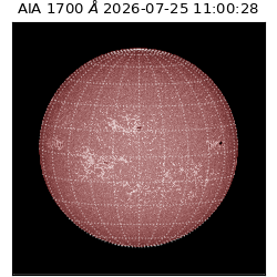 saia - 2026-07-25T11:00:28.719000