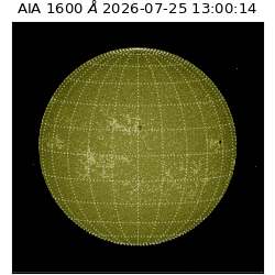 saia - 2026-07-25T13:00:14.123000