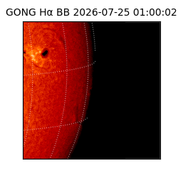 gong - 2026-07-25T01:00:02