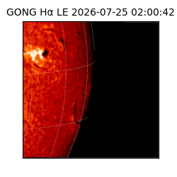 gong - 2026-07-25T02:00:42