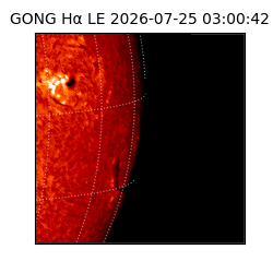 gong - 2026-07-25T03:00:42
