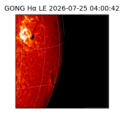 gong - 2026-07-25T04:00:42
