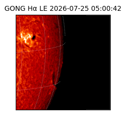 gong - 2026-07-25T05:00:42