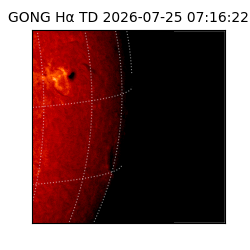 gong - 2026-07-25T07:16:22