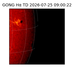 gong - 2026-07-25T09:00:22