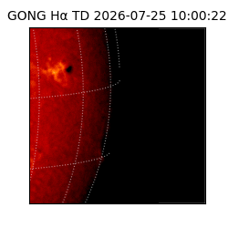 gong - 2026-07-25T10:00:22