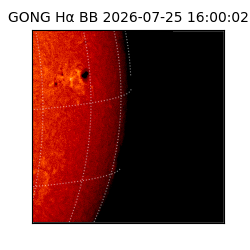 gong - 2026-07-25T16:00:02