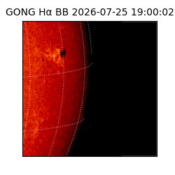gong - 2026-07-25T19:00:02