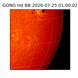gong - 2026-07-25T01:00:02