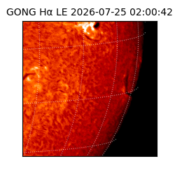 gong - 2026-07-25T02:00:42