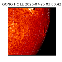 gong - 2026-07-25T03:00:42