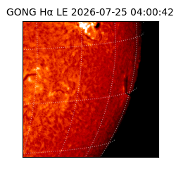 gong - 2026-07-25T04:00:42