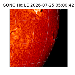 gong - 2026-07-25T05:00:42