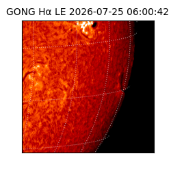 gong - 2026-07-25T06:00:42