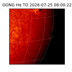 gong - 2026-07-25T08:00:22