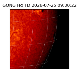 gong - 2026-07-25T09:00:22
