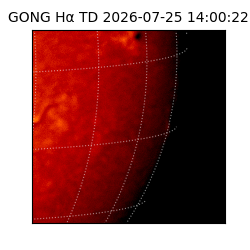gong - 2026-07-25T14:00:22