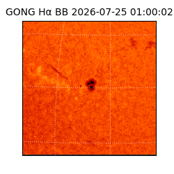 gong - 2026-07-25T01:00:02
