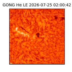 gong - 2026-07-25T02:00:42