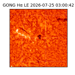 gong - 2026-07-25T03:00:42