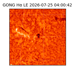 gong - 2026-07-25T04:00:42