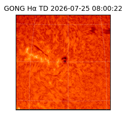 gong - 2026-07-25T08:00:22