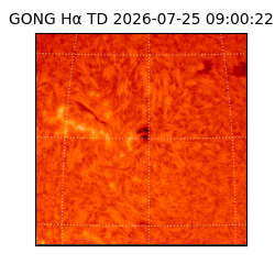 gong - 2026-07-25T09:00:22