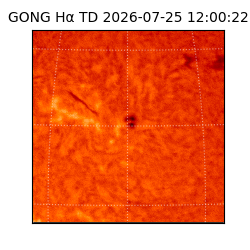 gong - 2026-07-25T12:00:22