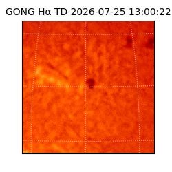 gong - 2026-07-25T13:00:22