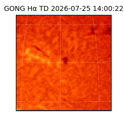 gong - 2026-07-25T14:00:22