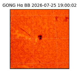 gong - 2026-07-25T19:00:02