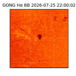 gong - 2026-07-25T22:00:02