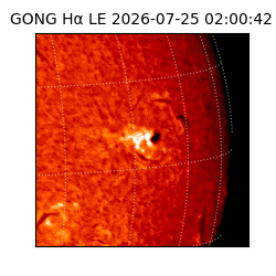 gong - 2026-07-25T02:00:42