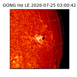 gong - 2026-07-25T03:00:42