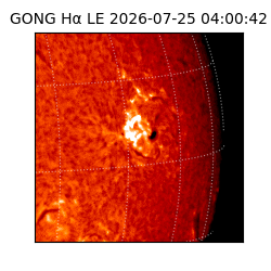 gong - 2026-07-25T04:00:42