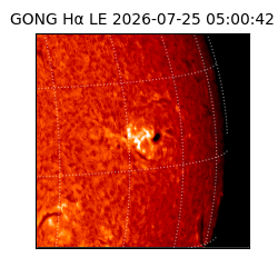 gong - 2026-07-25T05:00:42