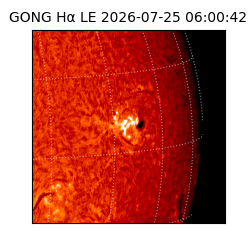 gong - 2026-07-25T06:00:42