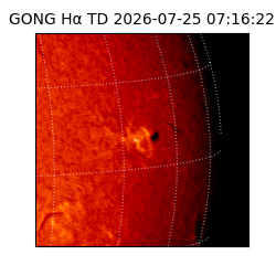 gong - 2026-07-25T07:16:22