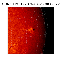 gong - 2026-07-25T08:00:22