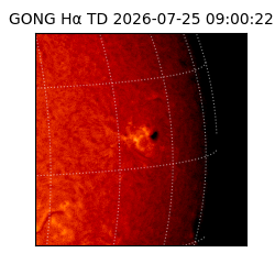 gong - 2026-07-25T09:00:22