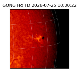 gong - 2026-07-25T10:00:22