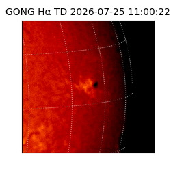 gong - 2026-07-25T11:00:22