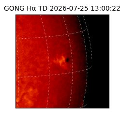 gong - 2026-07-25T13:00:22