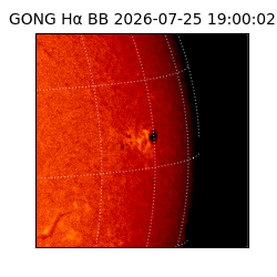 gong - 2026-07-25T19:00:02
