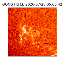 gong - 2026-07-25T05:00:42